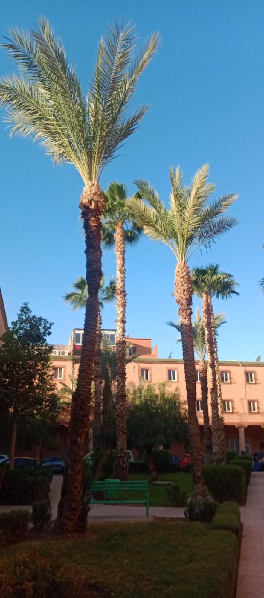 Riad Al-Bushra Μαρακές Εξωτερικό φωτογραφία